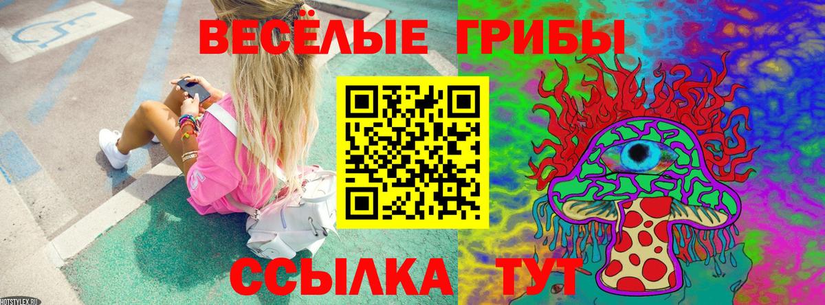 Жигулёвск  Галлюциногенные грибы GOLDEN TEACHER  Вход с VPN 